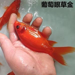 午后放松的心情句子_放松心情正能量短句