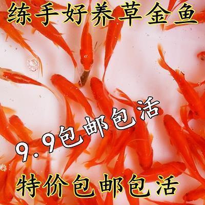 凄美伤感的歌词