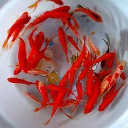 易于拾遗