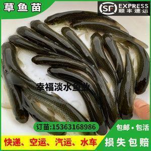 平安祝福语简短5字
