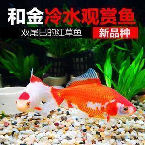 立春节气经典祝福语朋友圈文案