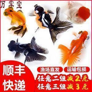 疫情期间过生日发朋友圈 疫情期间过生日的说说(精选19句)