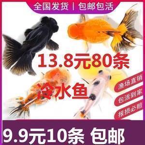 大年初七早安心语