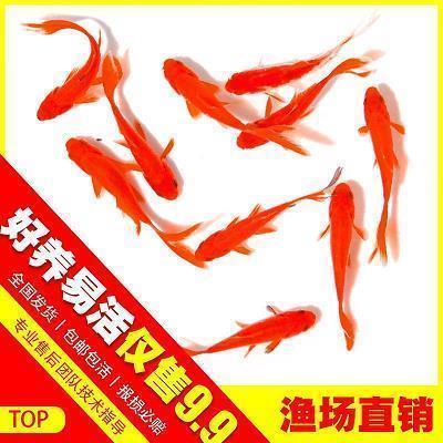 收拾心情准备上班句子，要上班了该收拾心情了的句子