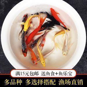感谢友情唯美句子简短52条