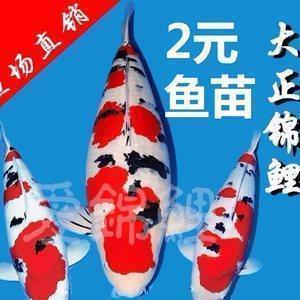伤感的说说心情短语