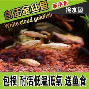清新的反义词_绝句古诗近反义词