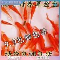 很忙很累的心情说说
