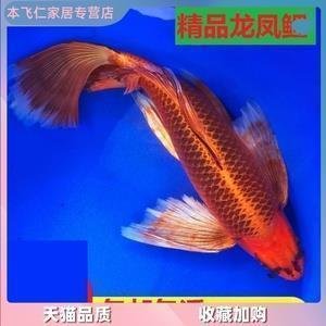 我什么也不需要唯美句子44条