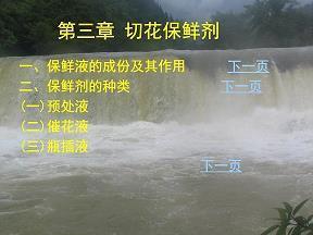 关于描写热气球的句子及图片