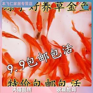 科比经典语录