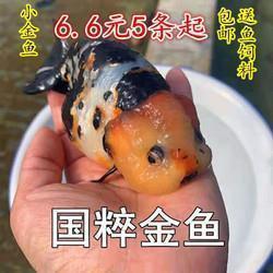 重瞳