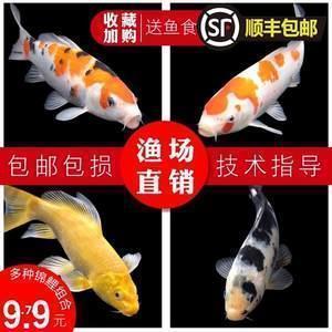 打动人心爱情表白句子（15句）