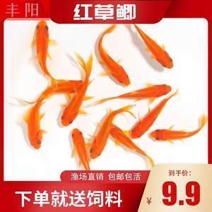吕