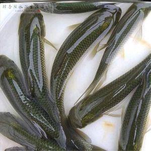 浩如烟海