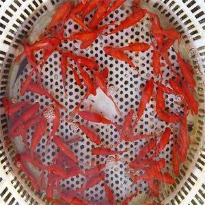 关于相信自己的句子_正能量句子励志短句子相信自己