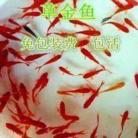 坐月子心情不好的说说 坐月子朋友圈心情说说
