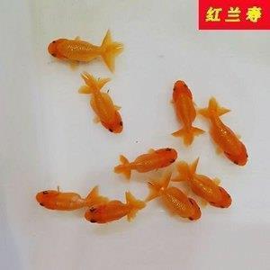 默默陪伴一个人的说说美好句子，默默陪伴的唯美句子
