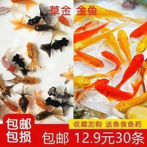 扷