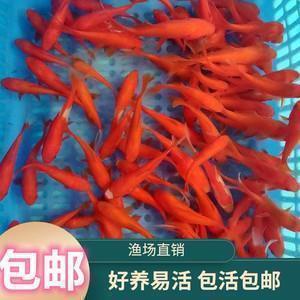清明时节的祝福语