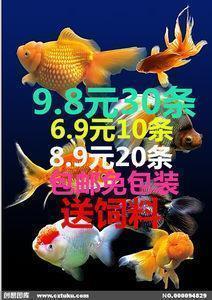 教孩子一点人际交往的本领