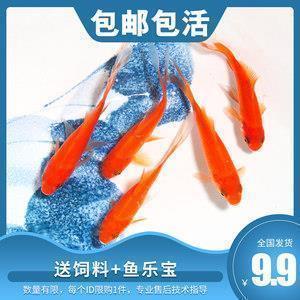 最新2021元宵节祝福语经典