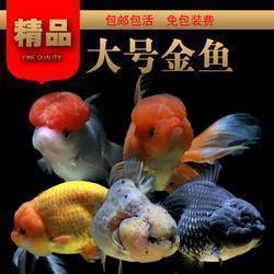 关于刷爆朋友圈的说说