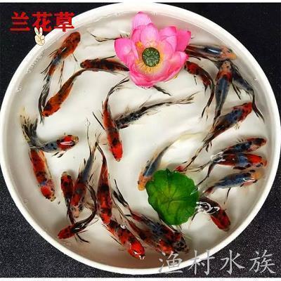 用一句话形容雪天开车