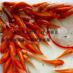 一蹴而就的意思_一蹴而就造句_一问一答的句子伤感