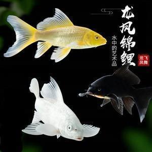 荀子名言名句