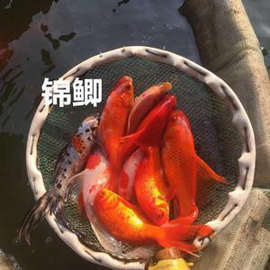 关于劳动的优美句子