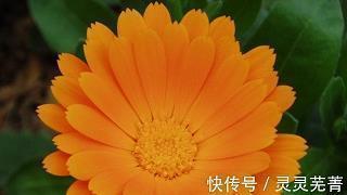 表示迷茫的句子40句