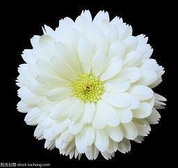 人生方向的哲理名言（70条）_关于伤感的名言哲理