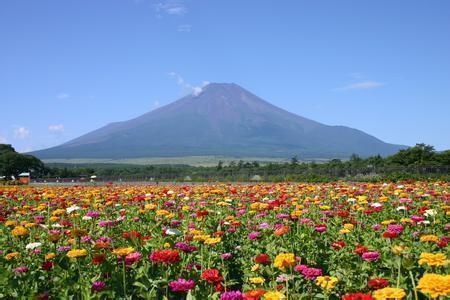 胣