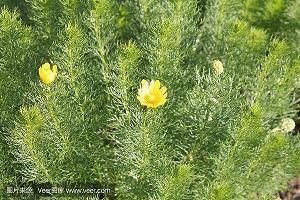 自己惹自己生气下说说