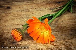 爱情表白词句大全
