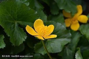 中秋节吸引人的文案句子(精选93条)