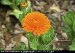 傲慢无礼