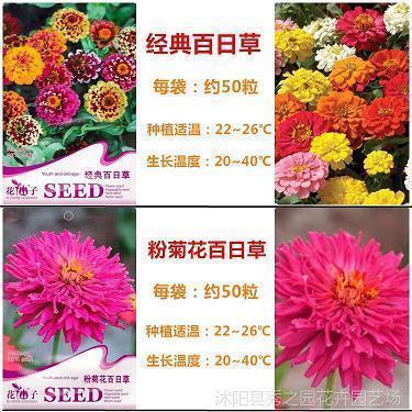 感叹生命意义唯美句子41条