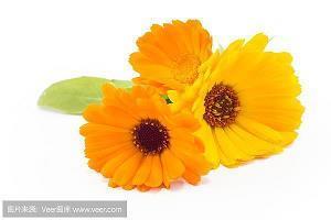 教师节感谢老师的话50句