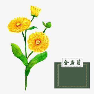 孔夫子的箴言