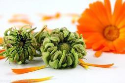 时间过得真快心情句子 时间如白驹过隙，悄悄地从我们身边溜走