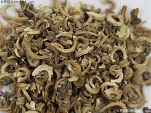 真正懂你的人的句子_男人真正心寒的句子