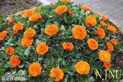 成功背后的付出的短句 付出与收获的优美句子