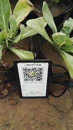 春天柳丝轻拂像什么比喻句