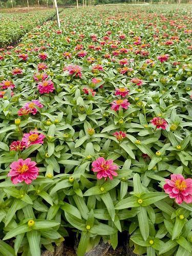花钱和挣钱唯美的句子36条