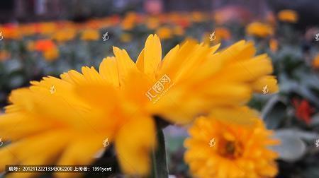 英语高考作文万能说说句子