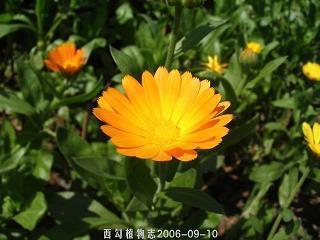 欢迎来参观的好句子语句55条