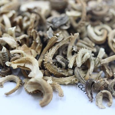 表白的句子给喜欢的人 一段简短而深情的告白