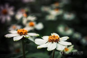 描写包装盒漂亮的句子 形容木质包装盒的优美句子有哪些？